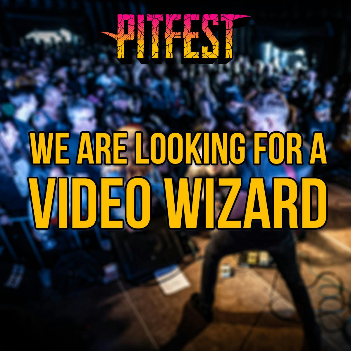 We are looking for a video wizard!